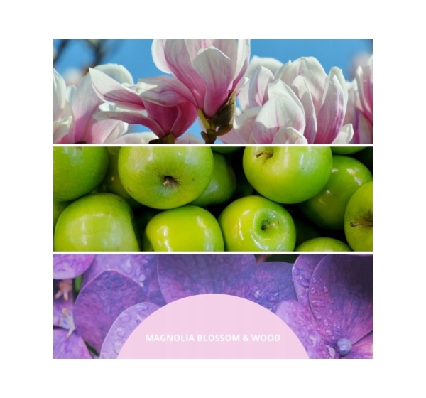 Reed Diffuser 250 ml MAGNOLIA BLOSSOM & WOOD MILLEFIORI