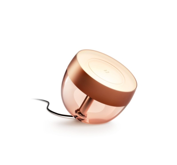 Philips Hue | Hue Iris Portable Lamp, Copper Special Edition | Copper/brass | Portable lamp