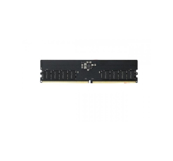 RAM PNY 16GB DDR5 5600MHz CL46 bulk