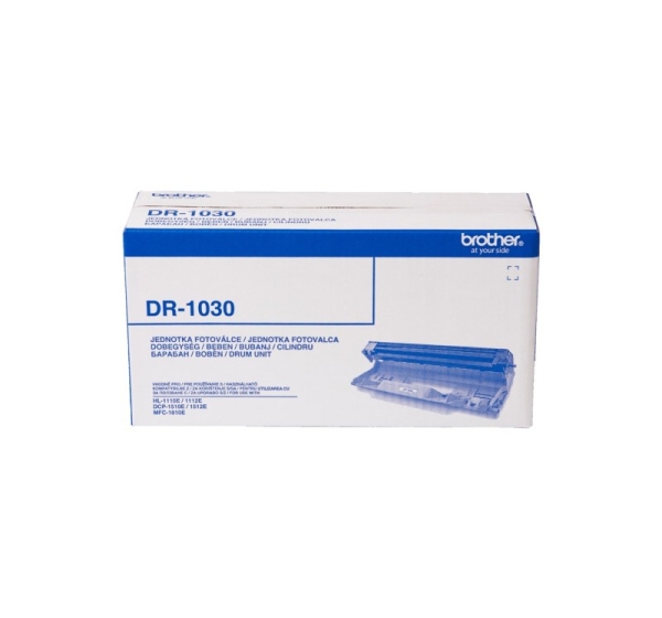 Brother DR-1030 printer drum Original 1 pc(s)