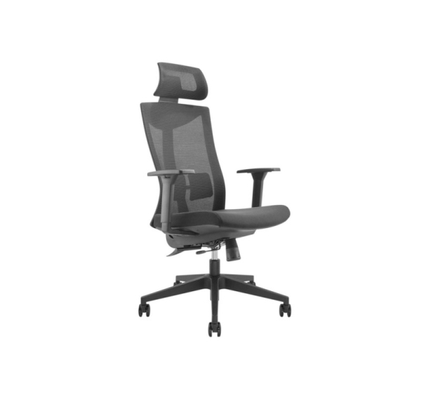 Premium ergonomic office chair with high backrest Ergo Office, max 150kg, ER-414