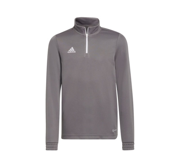 Sweatshirt for kids adidas Entrada 22 Training Top gray H57549 152cm