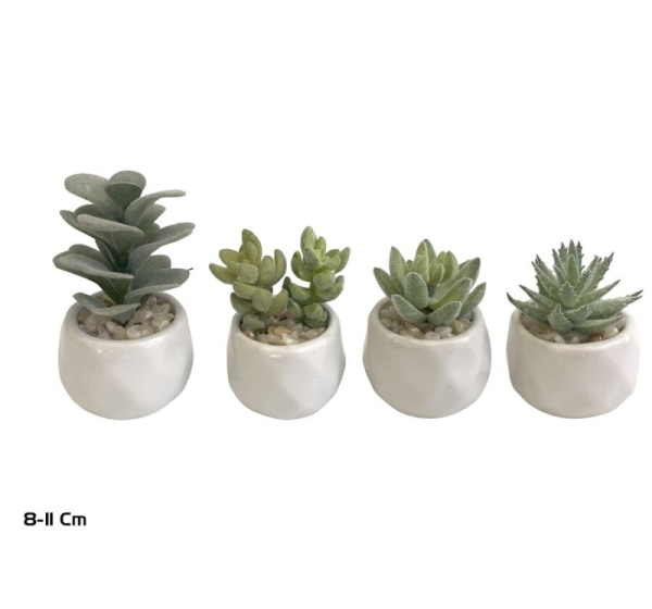 Artificial Succulents 8–11 cm, 7x7x11 cm, LITO