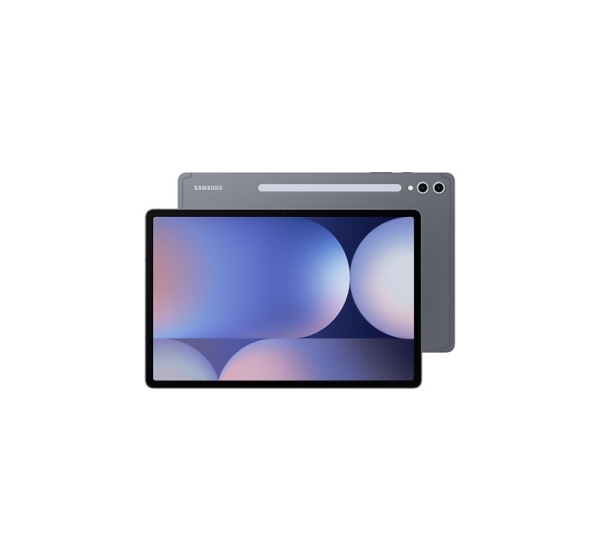Samsung S10+ 5G 256 GB 31.5 cm (12.4") 12 GB Android 14 Grey