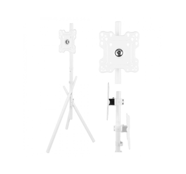 Maclean TV Floor Stand/Mount, 27–55", max. VESA 200x200, max. 60 kg, MC-181 W