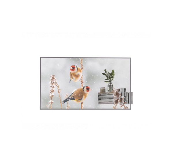 LG Digital Signage 55EW5P 55 "